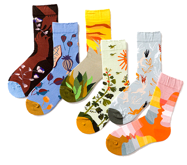 Calcetines